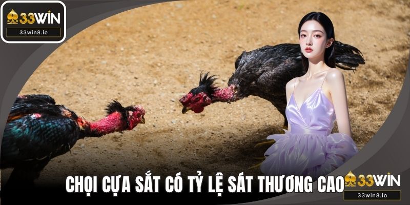 Chọi cựa sắt có tỷ lệ gây sát thương cao