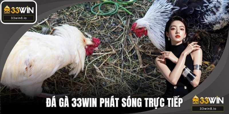 Khám phá Thế giới Giải trí Trực tuyến tại 33win - Hướng dẫn & Kinh nghiệm Chiến Thắng