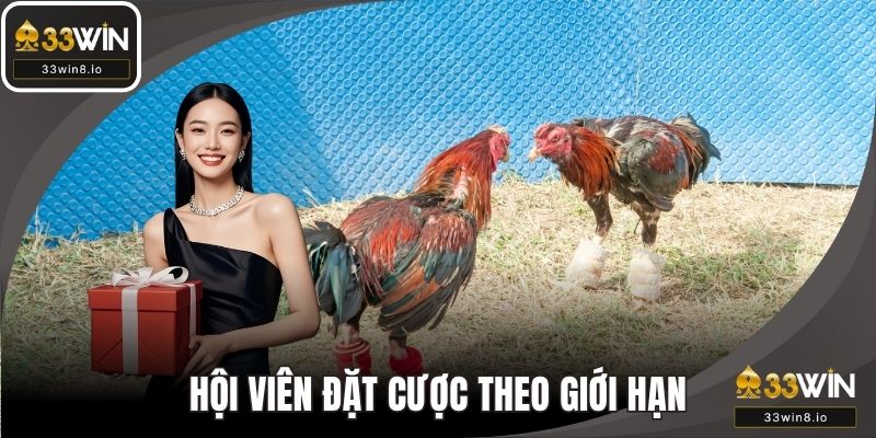 Hội viên đặt cược theo giới hạn quy định của sân chơi
