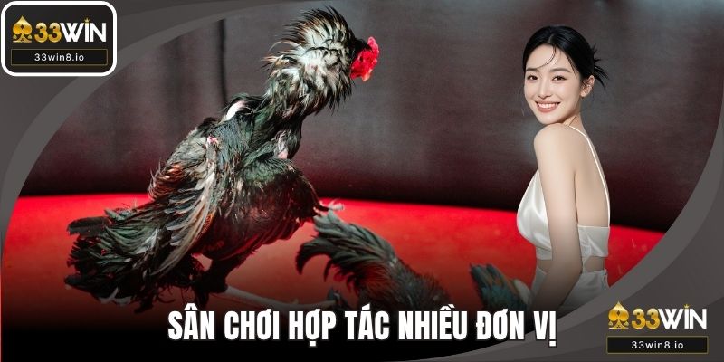 Sân chơi hợp tác nhiều đơn vị phát hành đá gà chất lượng