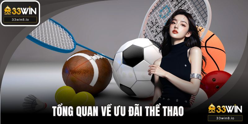 Tổng quan cần nắm về chính sách ưu đãi thể thao